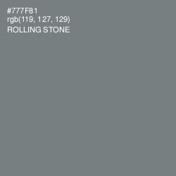 #777F81 - Rolling Stone Color Image